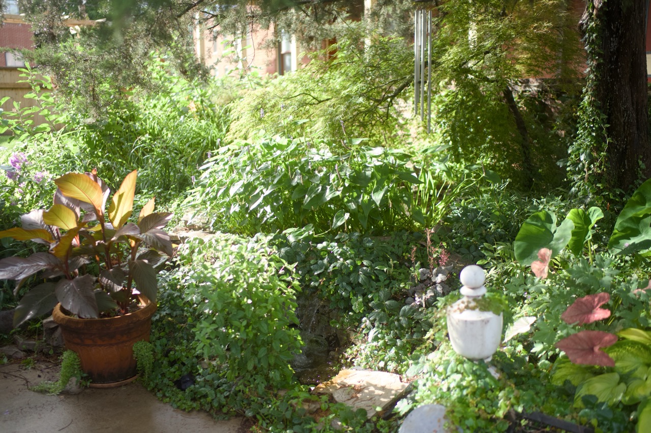 Soulard Patio Tour